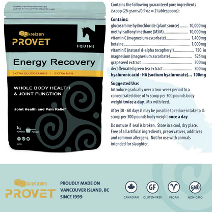 Energy Recovery