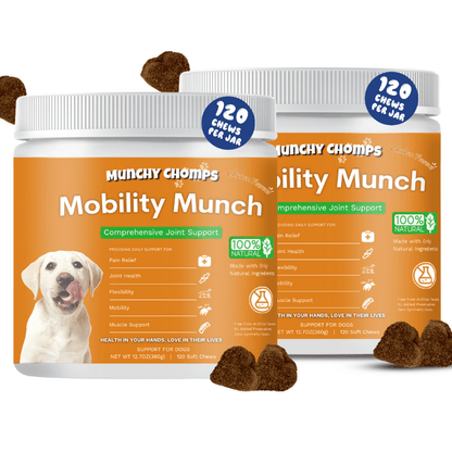 Mobility Munch