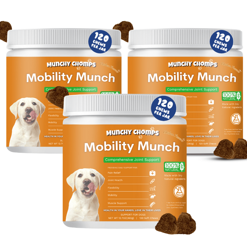 Mobility Munch