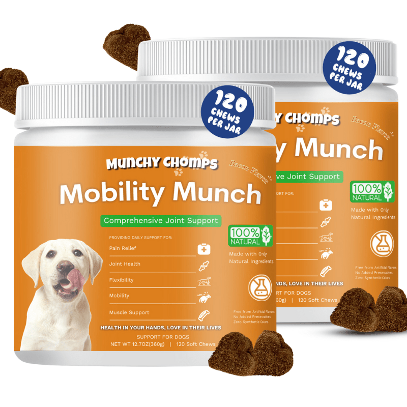 Mobility Munch