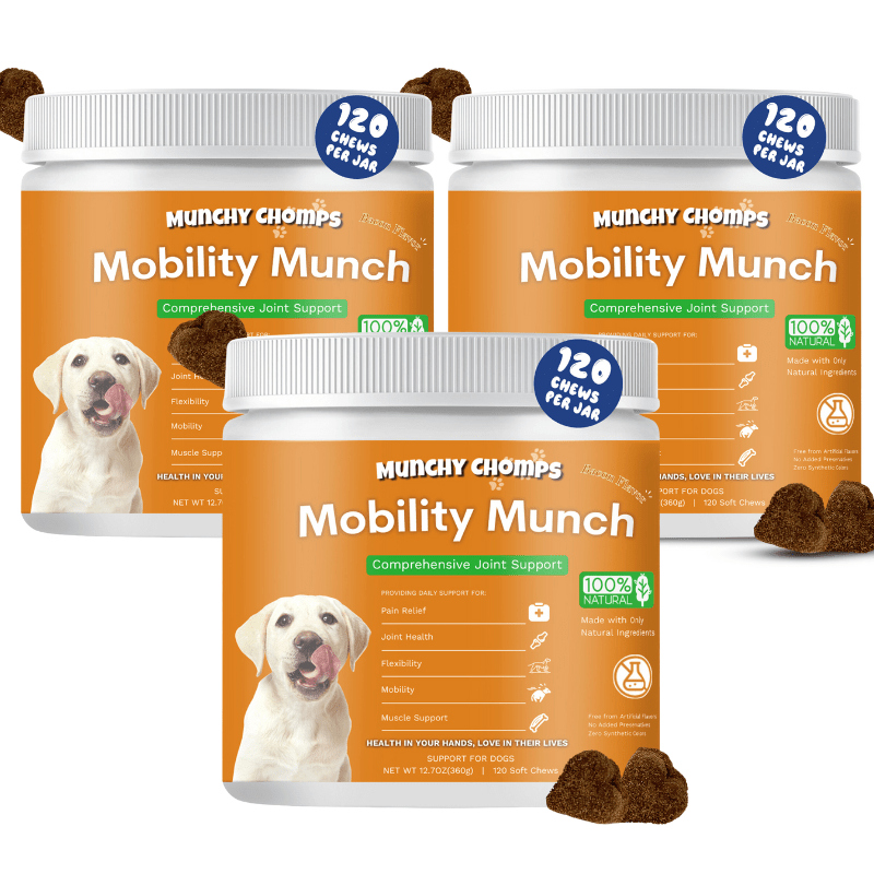 Mobility Munch